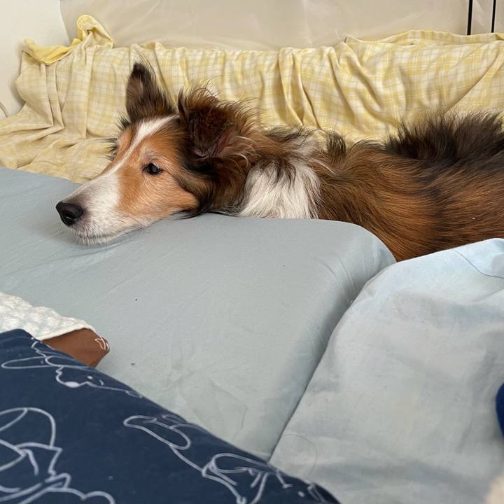 45d31b28 e1eb 489e a970 684392149b6a 1607230271545