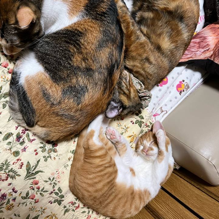 45d3315b d64c 4cef 8626 5c91be6dadef 1728687030128