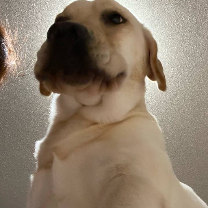 45d3322d 5d9b 4259 a4be 2e3ca8978c2c 1663846767351