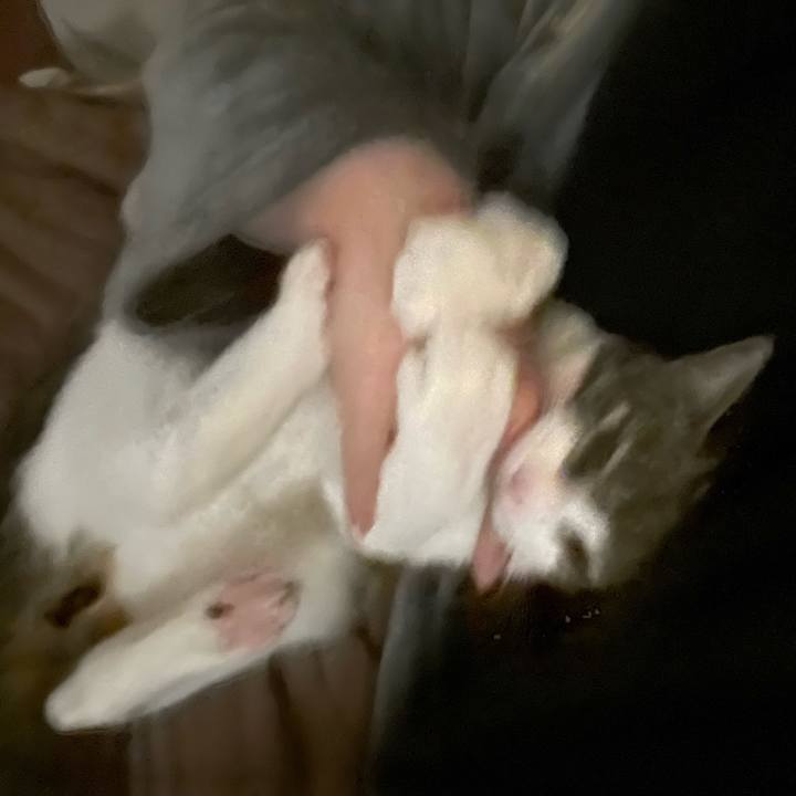 45d35131 c34b 4933 976d 5fe32793c993 1736674765879