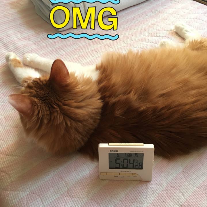 45d36dc6 53cb 4c60 95f5 819762b76f96 1527843696900