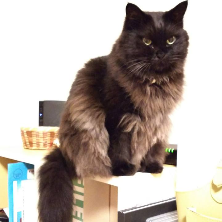 45d3890a ac0e 4e28 af99 5d907c1490aa 1510487221486