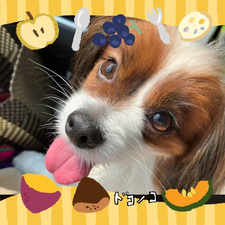 45d38e75 90bd 4f48 93de 72e059043b4c 1726894612410