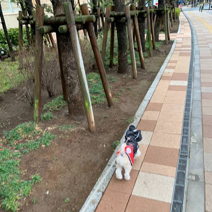 45d397ae 370d 4798 90f5 d0ede43596a3 1551737831086