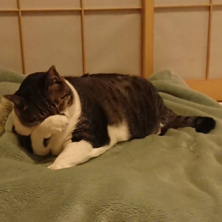 45d3d642 14ae 486b a238 fec55ab9a99a 1562712728731