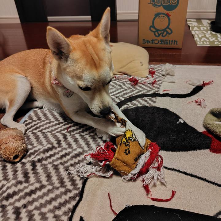 45d3f296 5dfe 480c 8873 84126b02b3c6 1765793204618