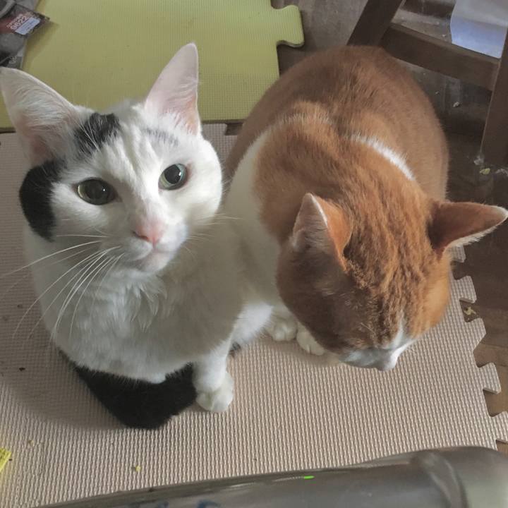 45d401e7 fe36 43ad ac02 1e94ca695b9a 1582170534478