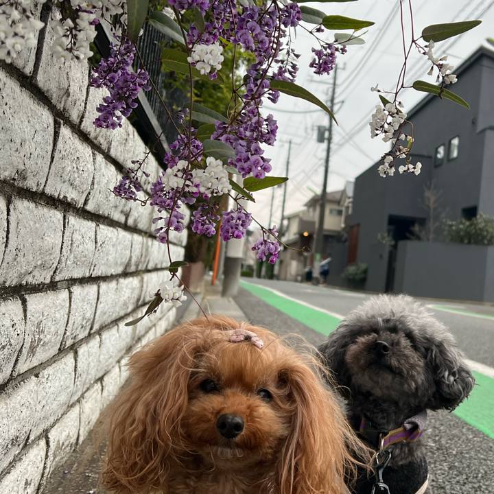 45d40b37 bb26 455e 840c 7b17e84a2051 1648250005803