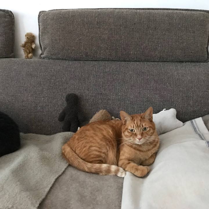 45d44b86 3c41 432a 8a40 573a3863a8fe 1516861255761