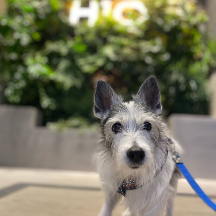 45d45854 f351 4d2e 8080 b31a63851bdd 1619343589491