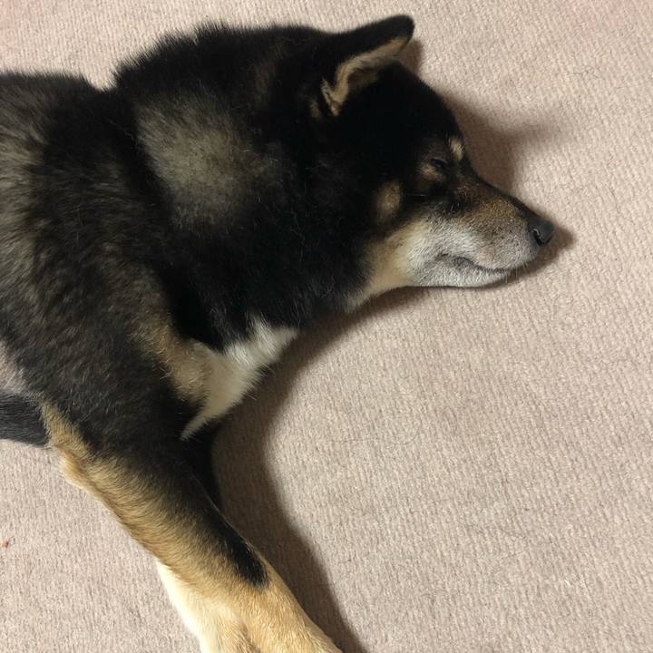 45d4a230 d5a3 47c7 beb6 4a0c297c65af 1529146260274