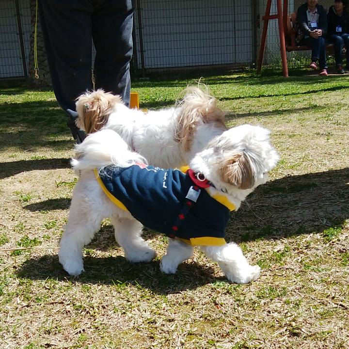 45d4b9d6 6cca 43fd 9e33 04b05426ff74 1521893501567