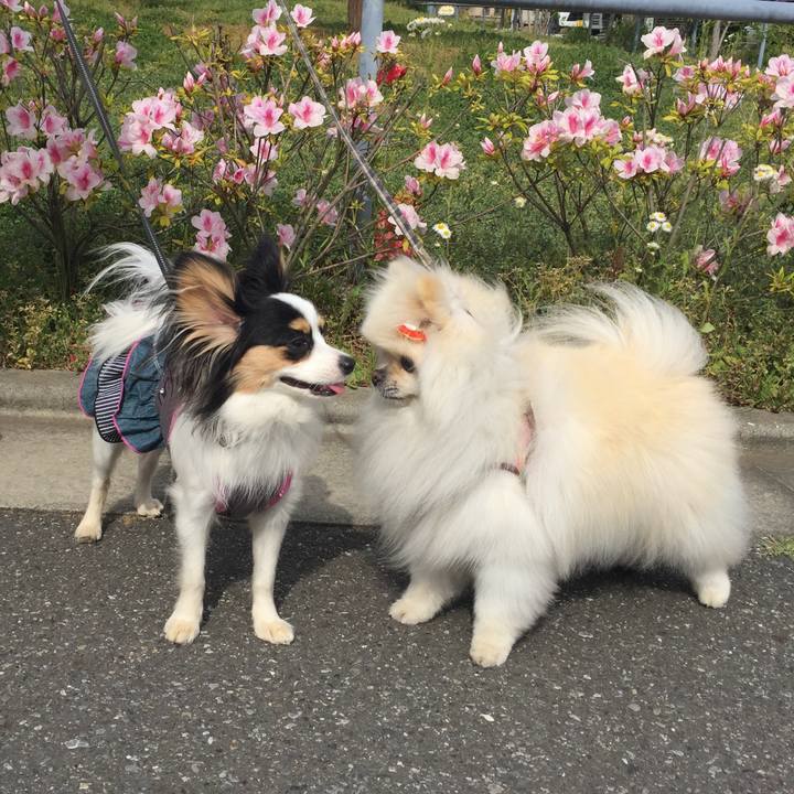 45d4eeee e633 45f9 b0a7 bd555d62b509 1619655090429