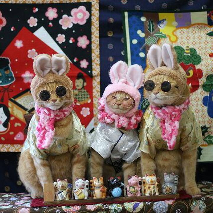 45d51b9f 4bea 4146 8dea a7dde4ec4131 1549070576235