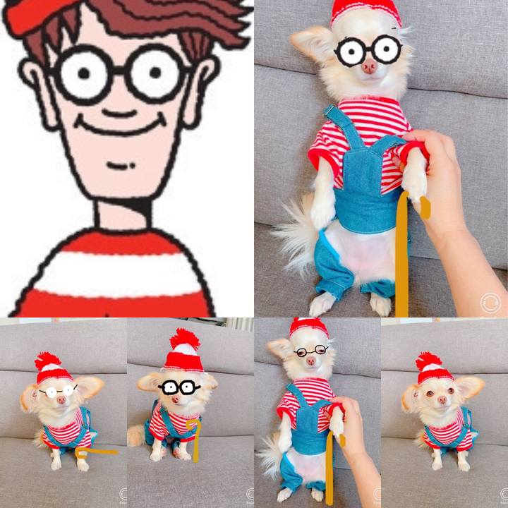 45d53c64 697f 4af1 8428 fdd51c547ffd 1631592210731