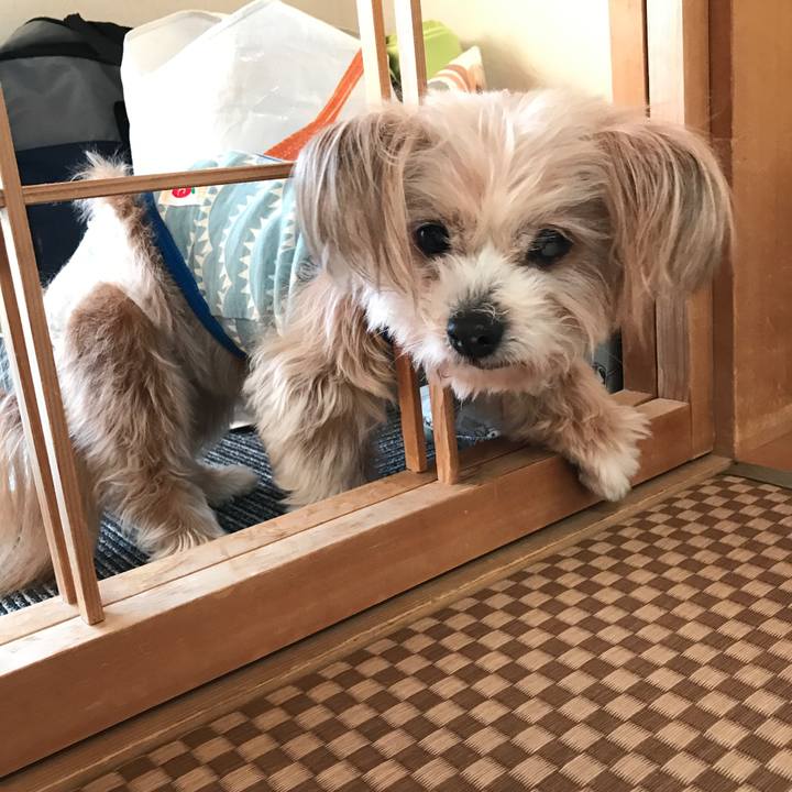 45d54735 96ad 4d16 b413 3f28df46709f 1522075357749