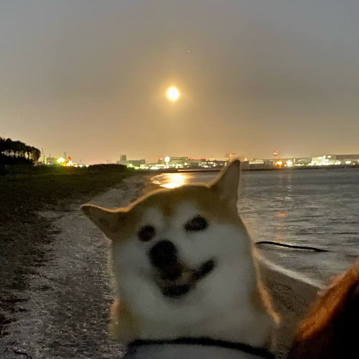 45d549ac bbac 4da5 8c4c 309d777fbe19 1662813906325