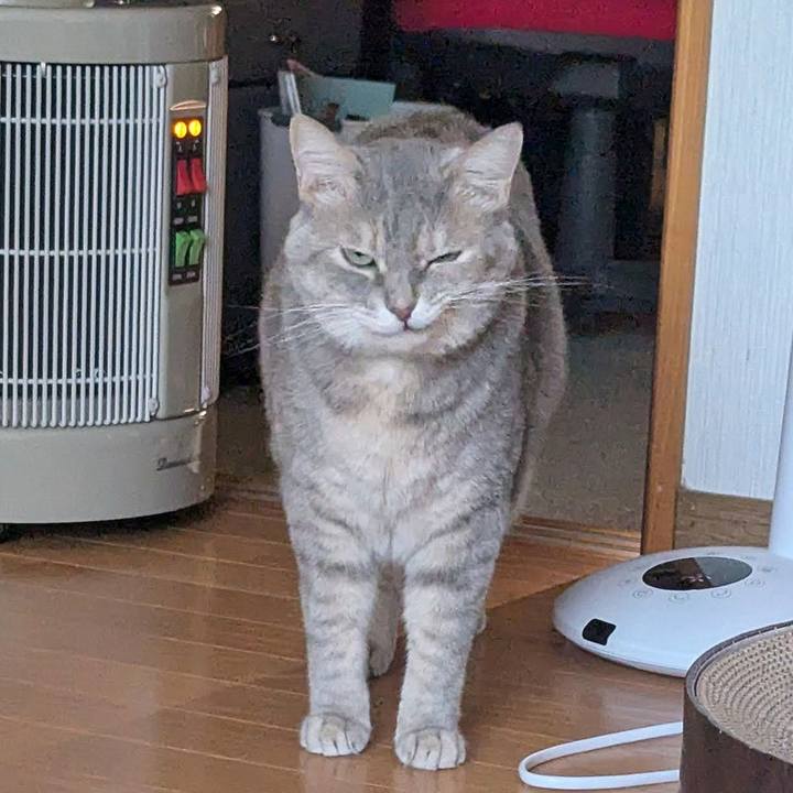 45d5800a cd04 43e0 bd78 a808fbe7dd81 1733222304764