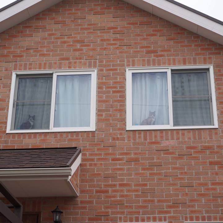 45d5d6dc 0f8a 4fd5 971c 6d73f7ba0a8c 1631880602924