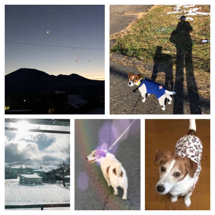 45d5ebda ed45 4a60 b1cb 9dcc655f6022 1544433669400