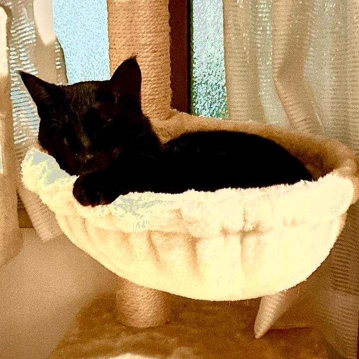 45d608de 22ce 4713 a70a 55321cb4a293 1741528853364