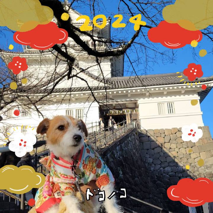 45d62808 12e0 477d 936d 439572ec1be6 1704168743741