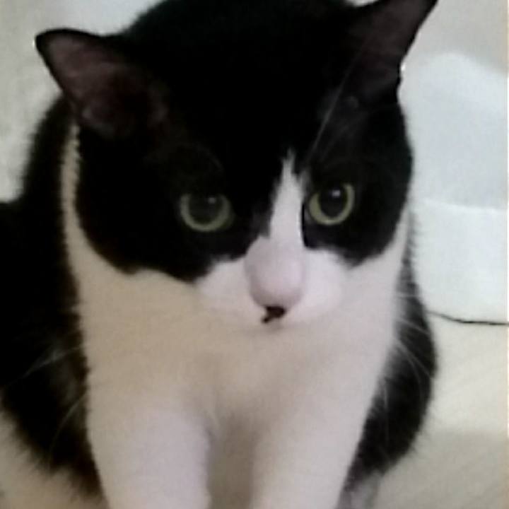 45d63130 77dd 4908 996e 4d6a2aabc273 1531752888629