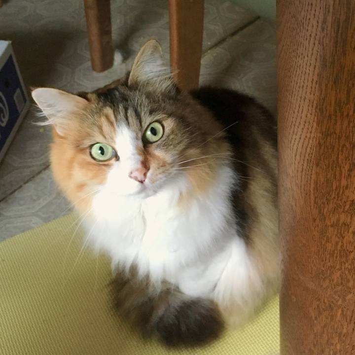 45d63ef7 c290 490a 9d69 bc37a6e8df67 1563782656882