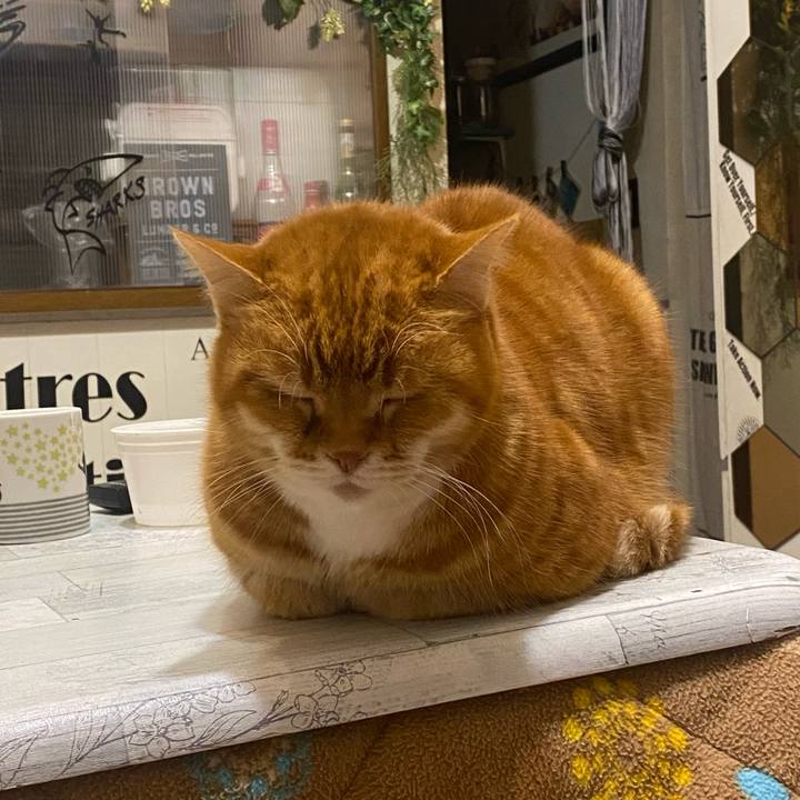 45d65a21 b3b4 449f beef 04d1d8dc5835 1645970903728