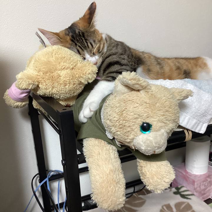 45d66a93 ebaf 4916 9cb7 031e8fabd06f 1647680952119