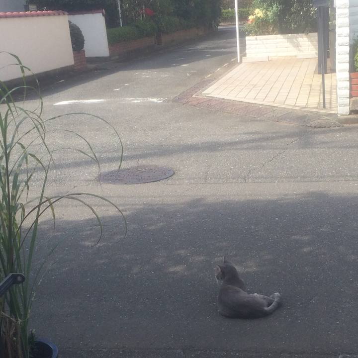 45d69487 f4d6 4661 869e ec94336db7be 1569933776696