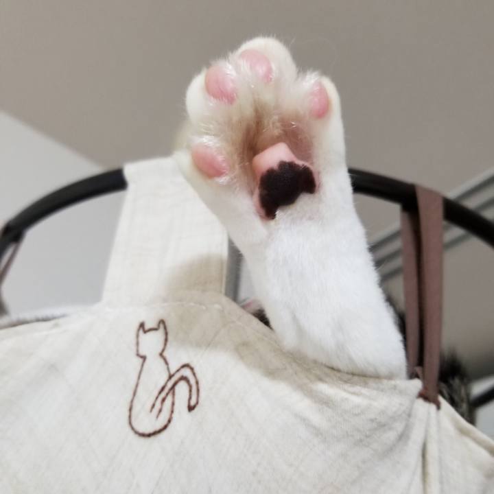 45d6a4ca 1740 4f99 947c 8572fe8d9350 1602412855303