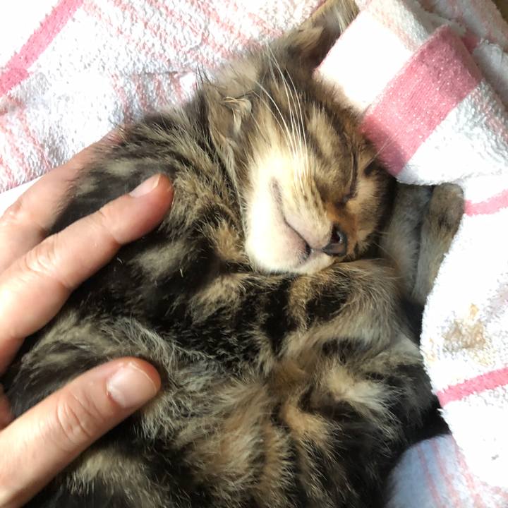 45d6fcff 1549 4565 b4bf 7a32d5d61542 1723877812444