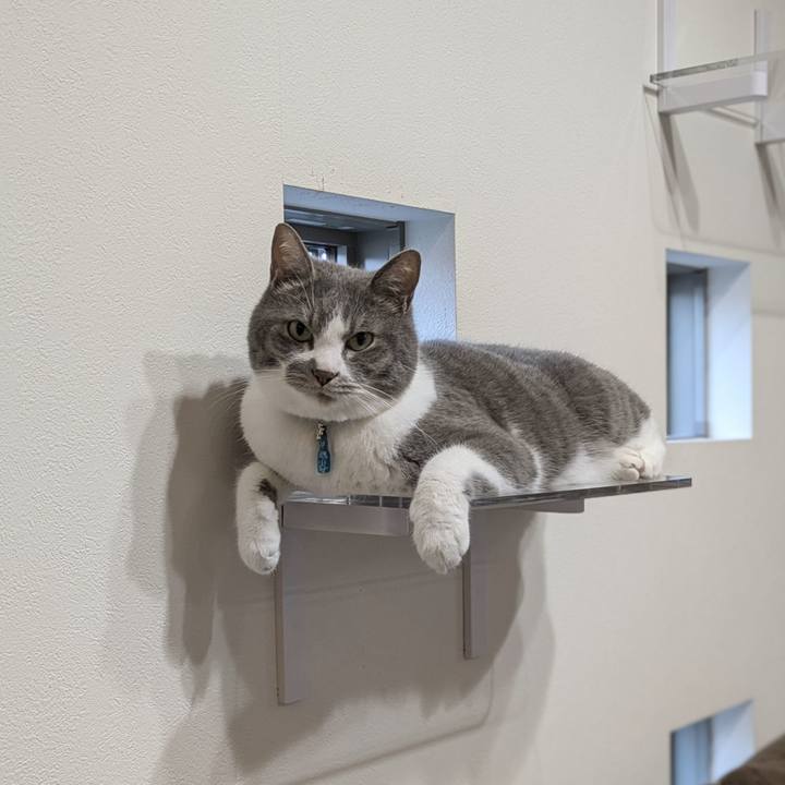 45d7186b 5622 4e8f 8d7b 3fe338b263ae 1750332573695