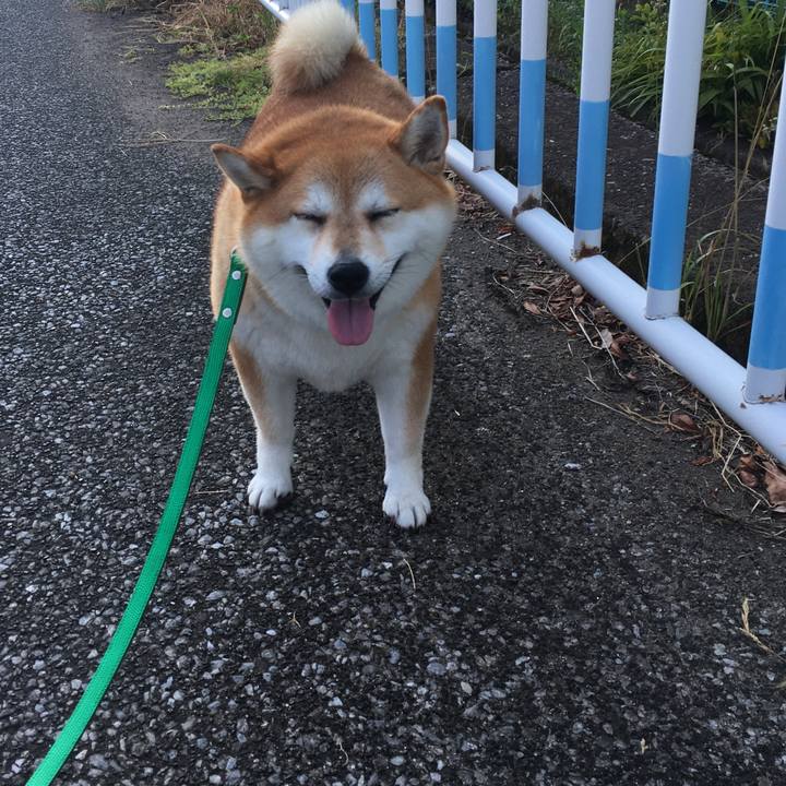 45d72614 0fd9 4485 a65c b5b46a9dcfaa 1597532636706