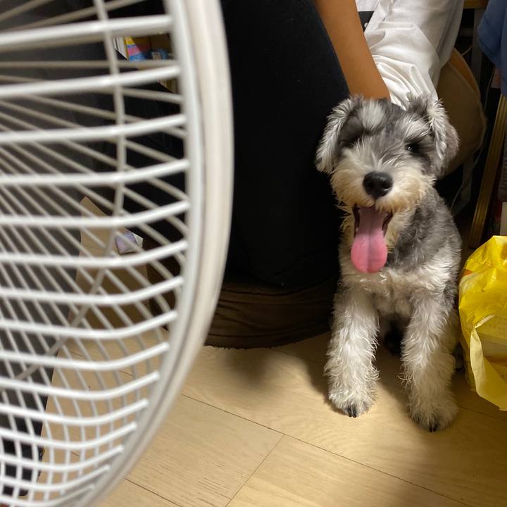 45d74ee5 1d3e 4f54 9ab8 ef53e973b39d 1569763121700