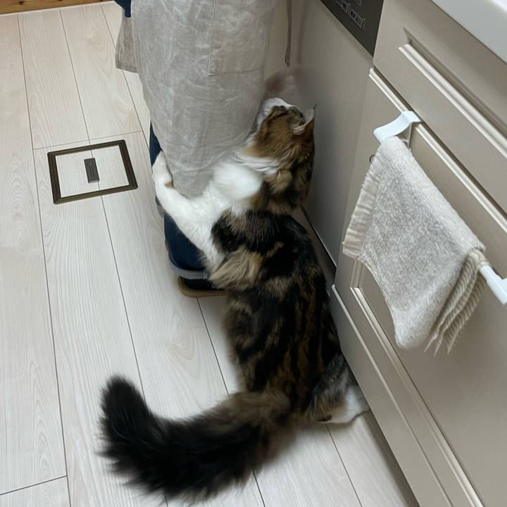 45d76a93 f7e8 494f ab29 da1562c789e6 1641286949090