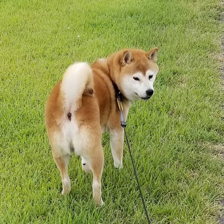 45d774af 7872 4f53 b386 5d14e30d803a 1600332308350