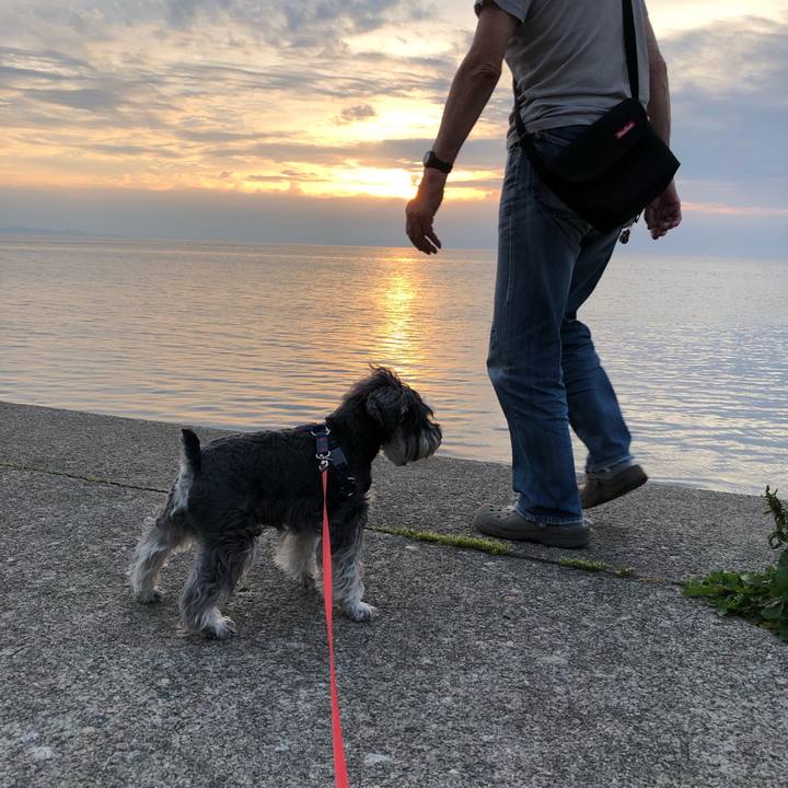 45d80cdd 6b74 415f ba08 9271df629d76 1623498370443