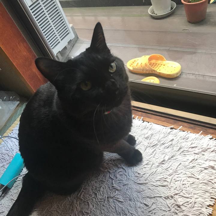 45d82e78 196b 42b1 b8ea bd3c0362614d 1601774519902