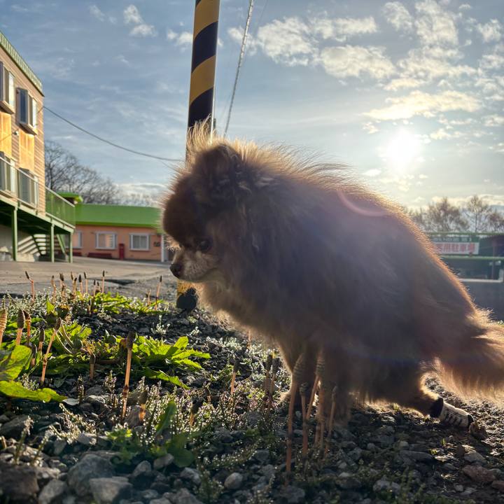 45d85eb3 713e 42c6 9456 fc91f0fd3d95 1745461886436