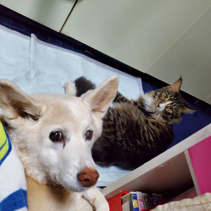 45d86ae1 9132 4b55 bf03 711e554013f8 1681344224613