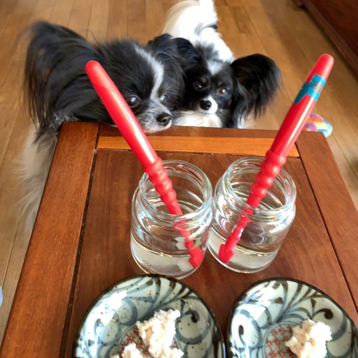 45d870b8 f3fa 4667 bbc9 6ac22d0a3a49 1548283850751