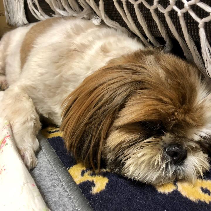 45d878b2 2a6b 4540 8e5a ef4cdd8bae52 1532173429212