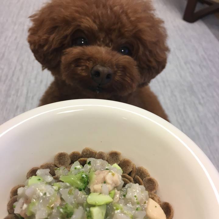 45d8799e a79f 4395 827b 450b493dd419 1532339781935