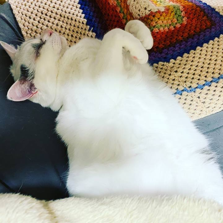 45d8aea9 1562 404c 8895 b57469891b0e 1585904613398