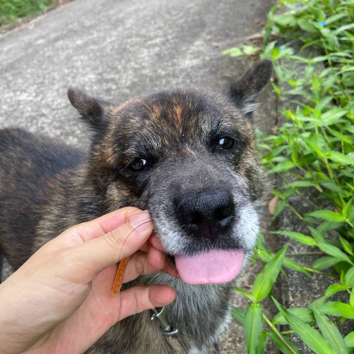 45d8b51c 1fe7 401c 8a49 2f54000e89b4 1595588577224