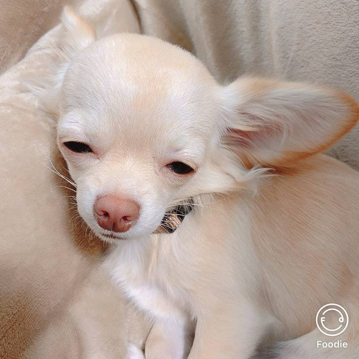 45d8cc6e 2201 4d42 9905 2f7f8f3d925d 1605842115132