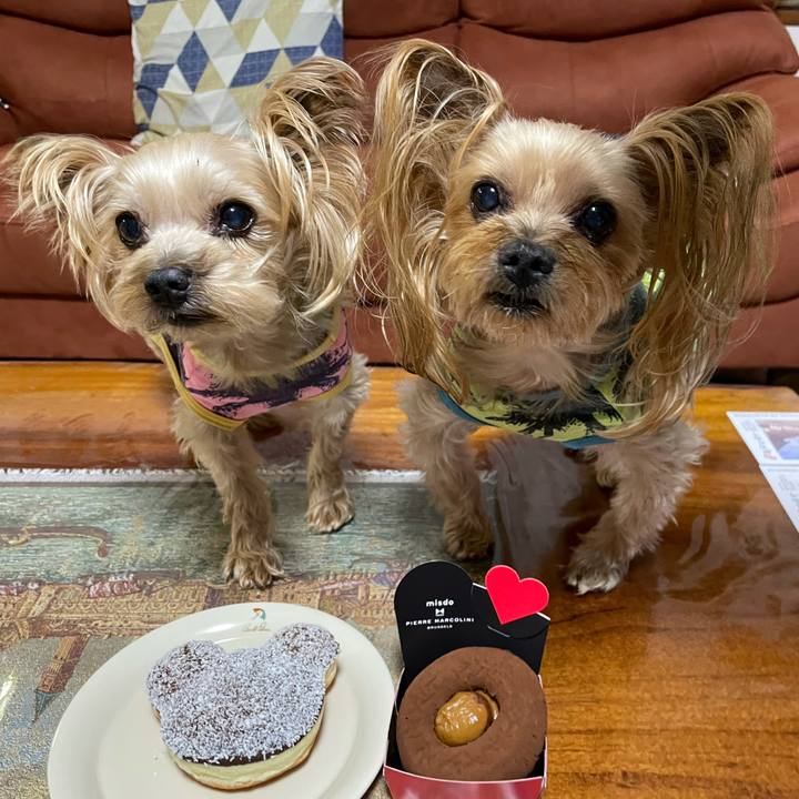 45d8db06 ca31 4cd9 91e3 120aac17fda1 1611480944916