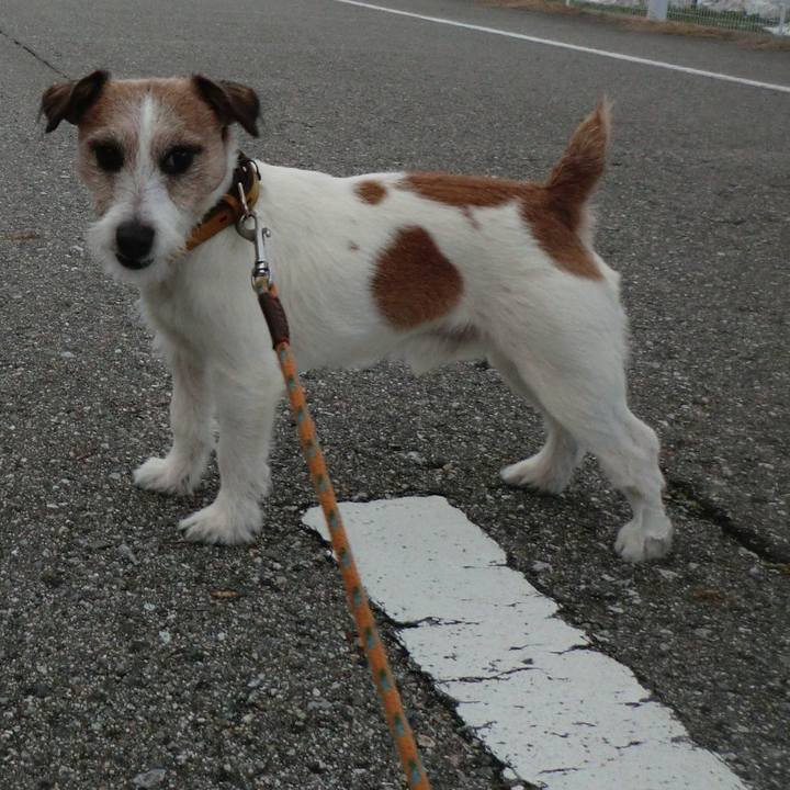 45d910f5 52ad 485c 81b7 c88427356c62 1514892869647